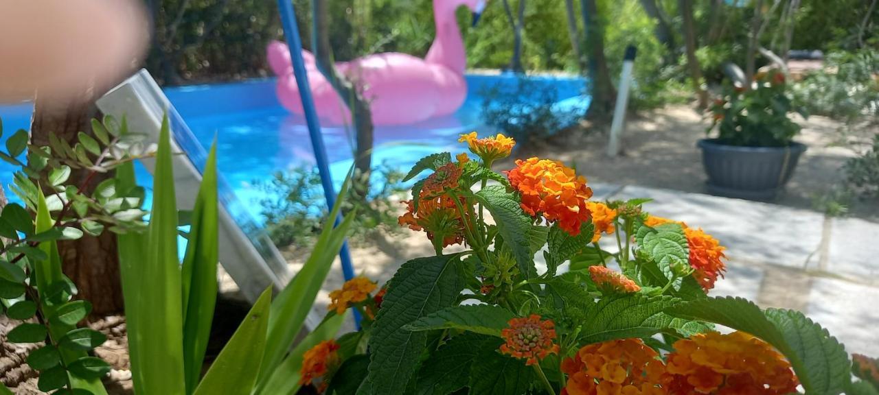 Luxury Loving Home Tolo Bagian luar foto