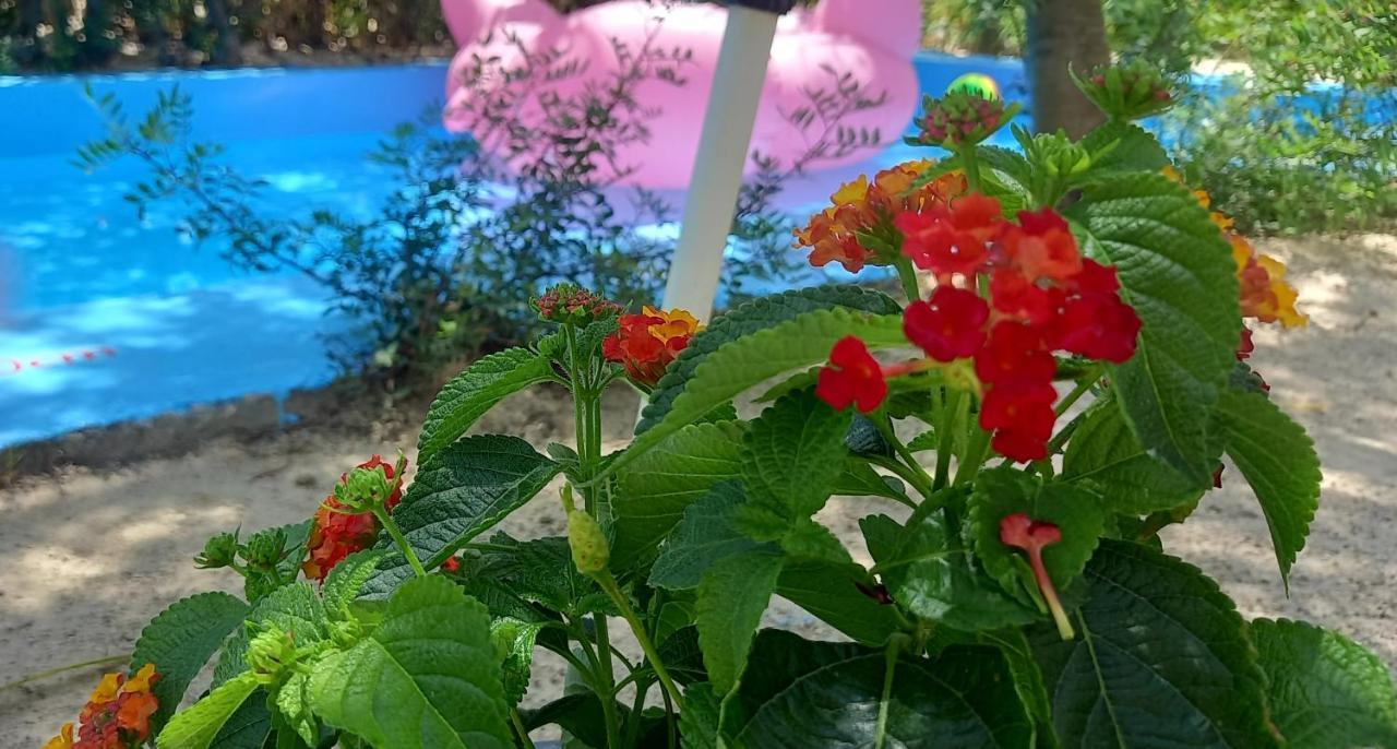 Luxury Loving Home Tolo Bagian luar foto